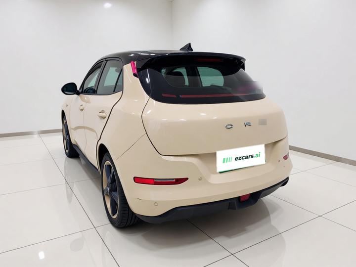 Good Cat 2023 401km Standard Range Noble LFP photo 4