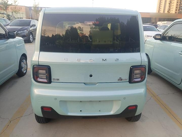 2024 Panda mini 200km Endurance Bear photo 5