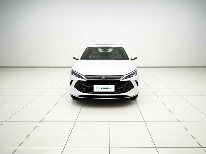 Qin L 2026 DM-i 128KM Progressive photo 2