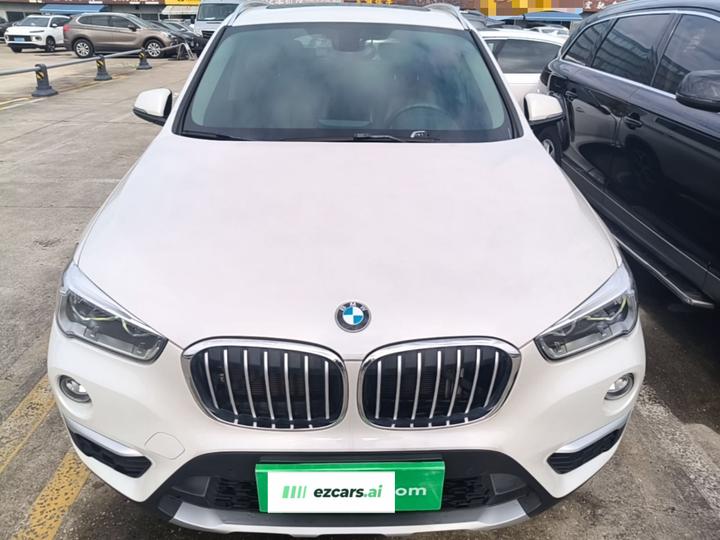 X1 2019 xDrive20Li Exclusive photo 2
