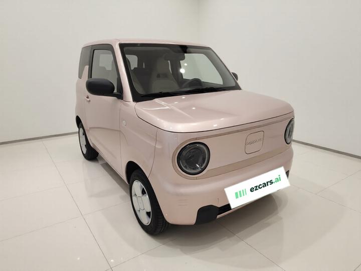 2024 Panda mini 200km Endurance Bear photo 3