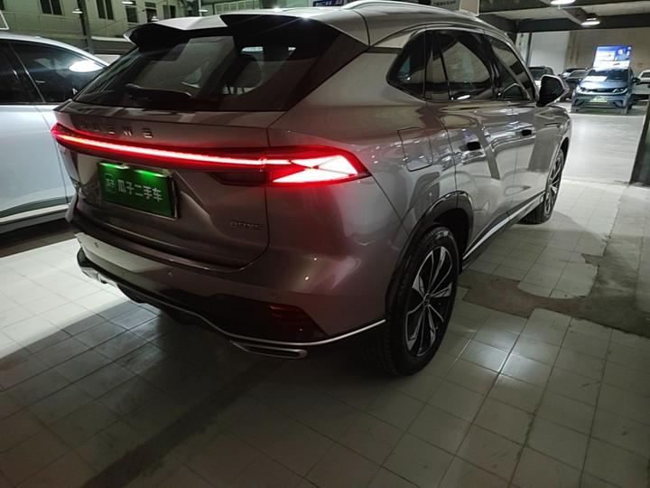 RX5 EV 2023 eRX5 photo 6