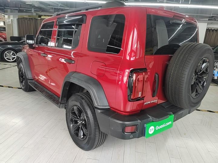 300 2021 Off-road 2.0T Conqueror photo 4