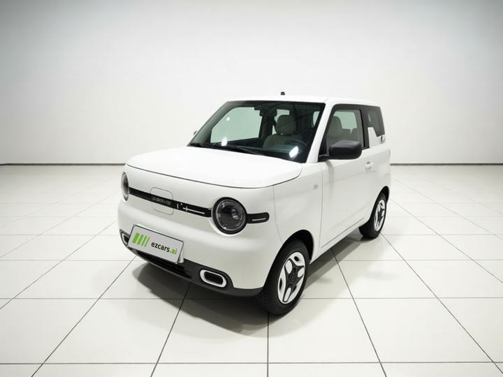 2025 Panda mini 210km Yuan