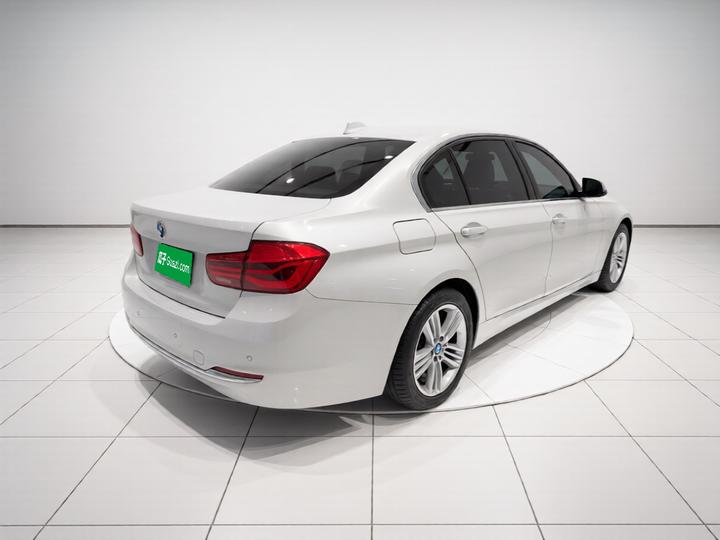 3 Series 2016 320Li Progressive photo 6