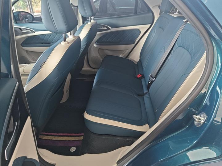 Good Cat 2023 401km Standard Range Luxury NCM photo 4