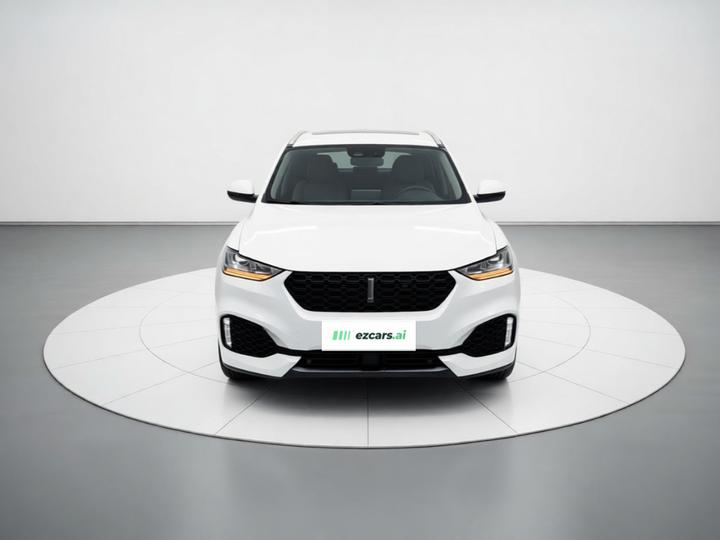 VV6 2018 2.0T AWD Flagship China V photo 2