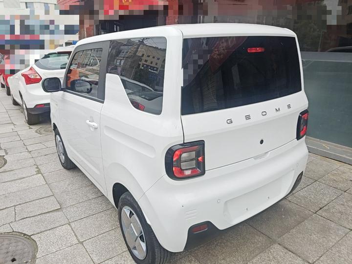 2023 Panda mini 200km Endurance Bear photo 4