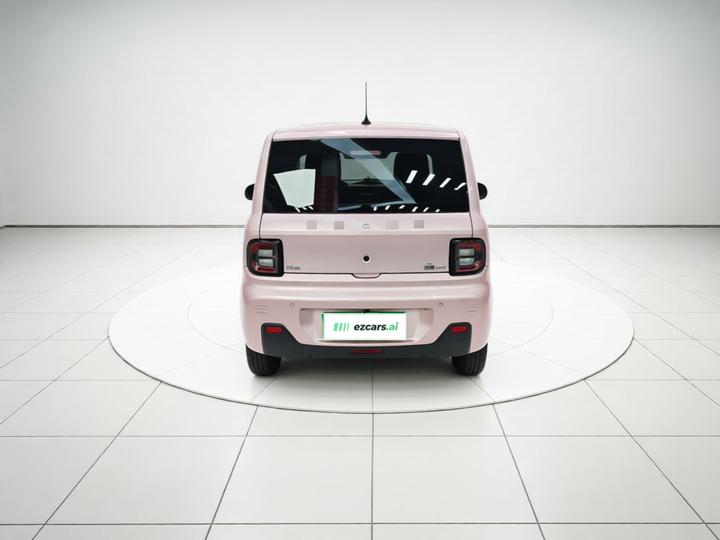 2023 Panda mini 200km Endurance Bear photo 5