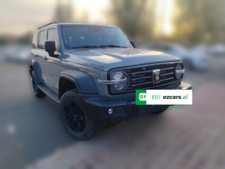300 2021 Off-road 2.0T photo 3