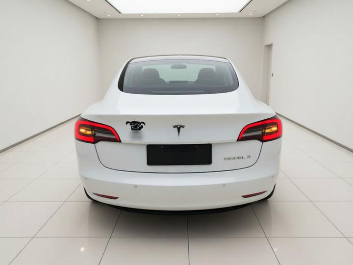Model 3 2020 Standard Range RWD Upgraded photo 5