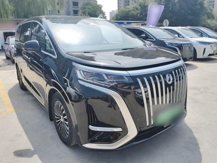 D9 2024 EV 600 AWD Premium photo 3
