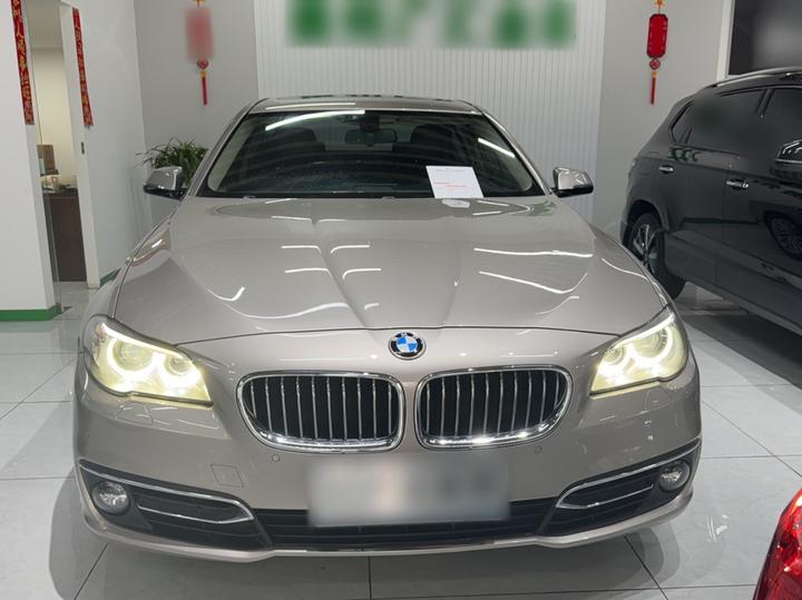 5 Series 2017 525Li Luxury Design Package photo 3
