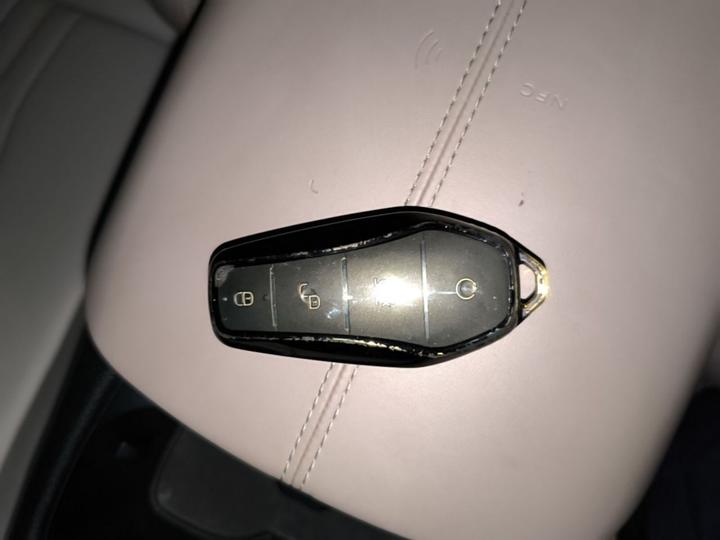 Song Pro EV 2024 Honor DM-i 71KM Leading photo 8