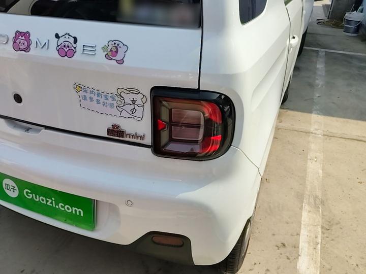 2024 Panda mini 200km Endurance Bear photo 7