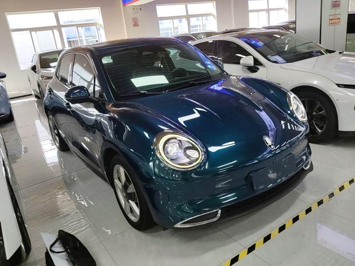 Good Cat 2021 400km Standard Range LFP photo 3