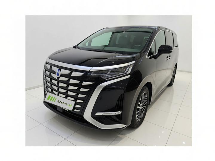 D9 2024 DM-i 980 AWD Premium