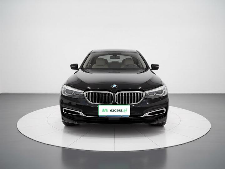 5 Series 2019 530Li xDrive Luxury photo 2
