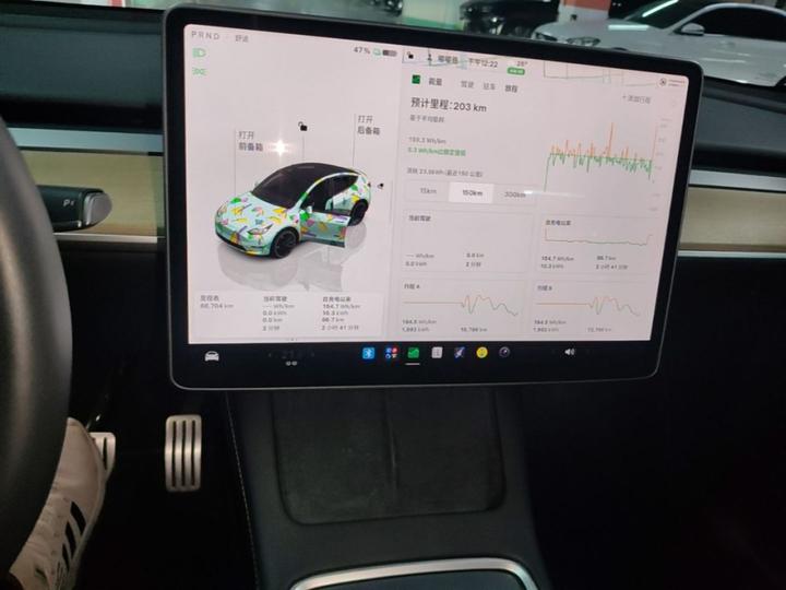 Model Y 2022 Performance AWD photo 8