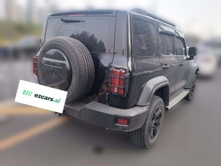 300 2023 Off-road 2.0T Conqueror photo 6
