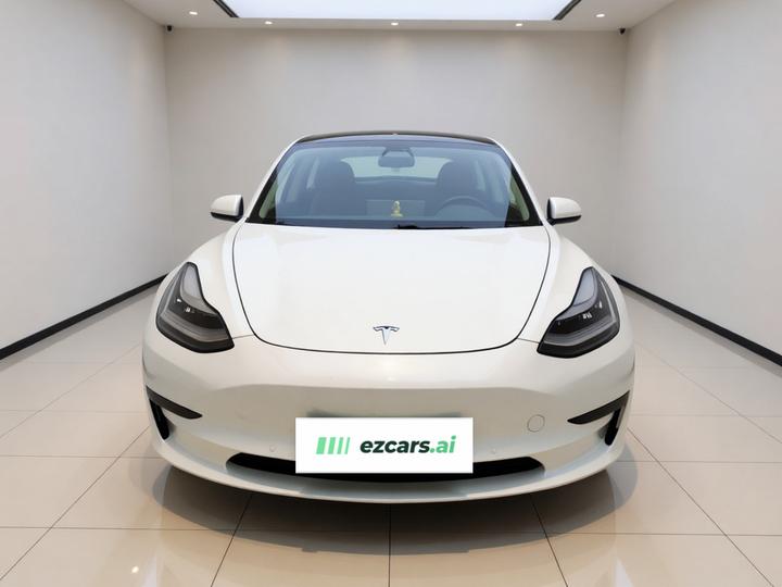 Model 3 2019 Standard Range RWD Upgraded photo 2