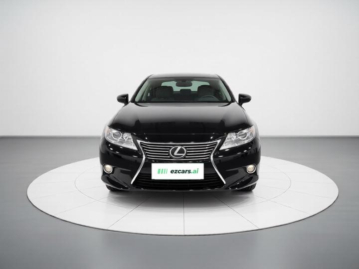 ES 2014 250 Elite photo 2
