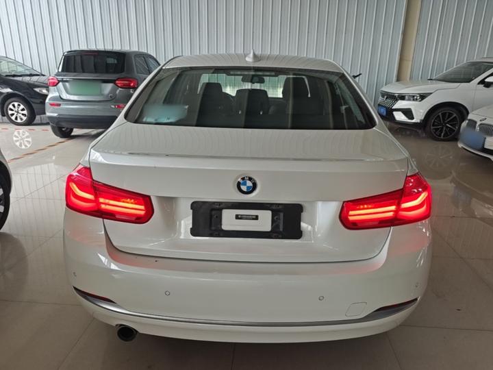 3 Series 2018 318Li photo 3