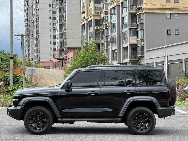 300 2021 Off-road 2.0T Conqueror photo 3