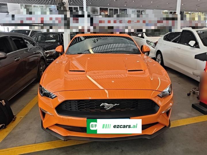 Mustang Parallel Import photo 2