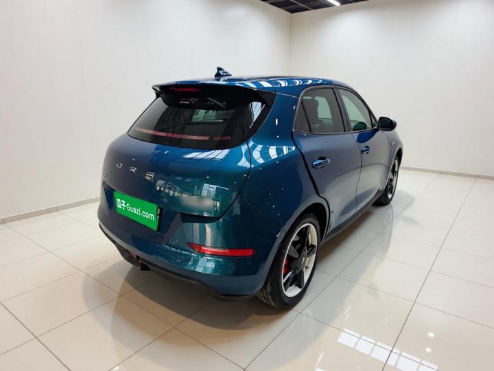 Good Cat 2023 401km Standard Range Premium LFP photo 4