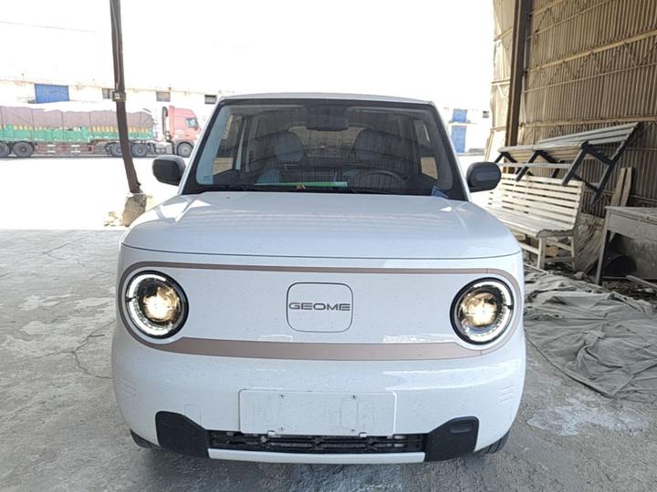 2023 Panda mini 200km Endurance Bear photo 2