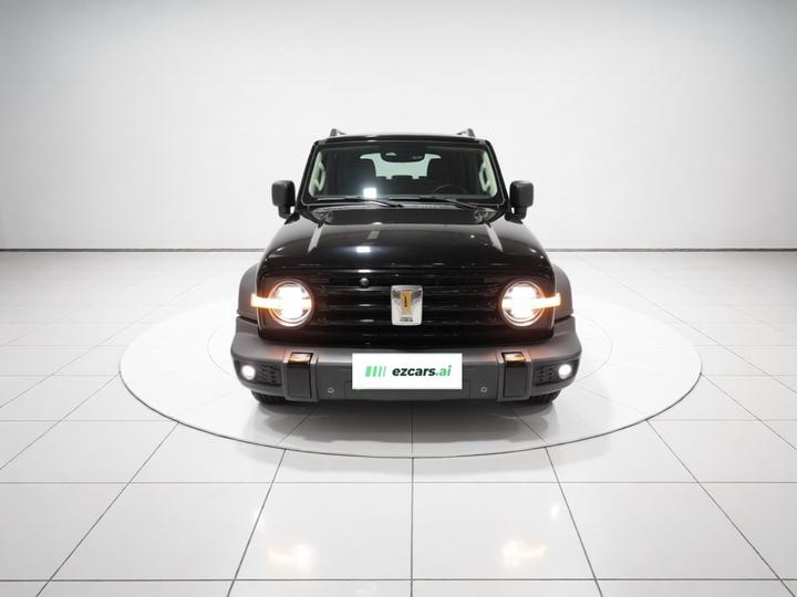 300 2021 Off-road 2.0T Conqueror photo 2