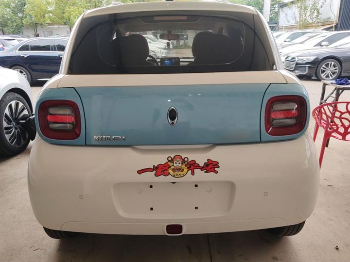 2019 301km Standard photo 3
