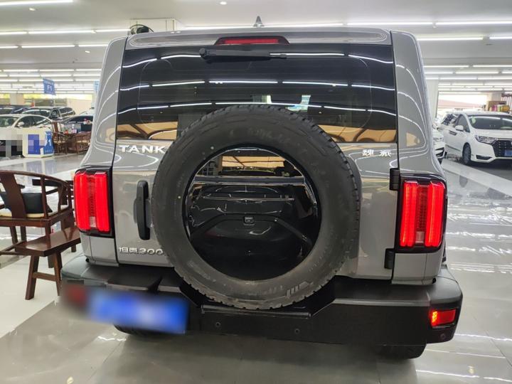 300 2021 Off-road 2.0T Conqueror photo 3