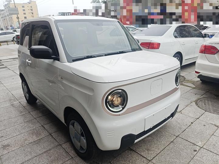 2023 Panda mini 200km Endurance Bear photo 3