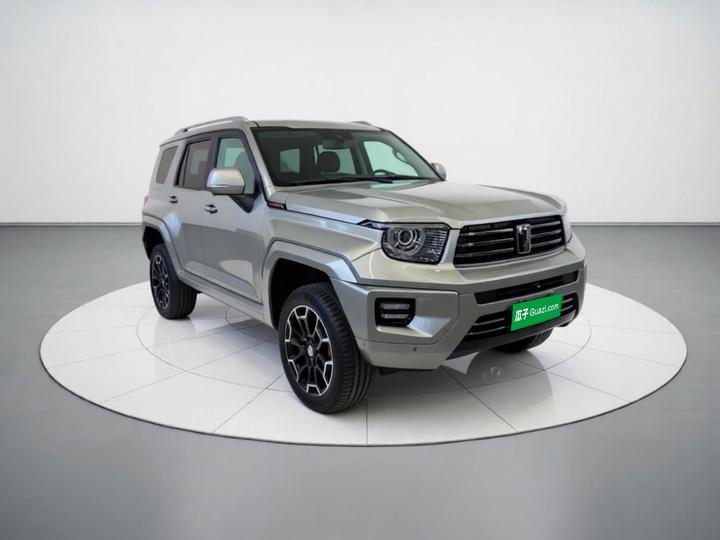 700 EV 2024 Hi4-T photo 3