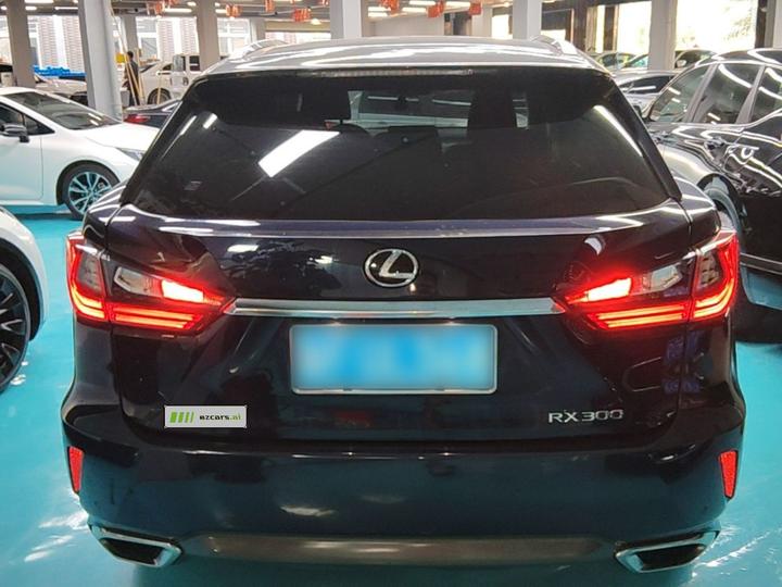 RX 2016 300 AWD Elegant China V photo 5