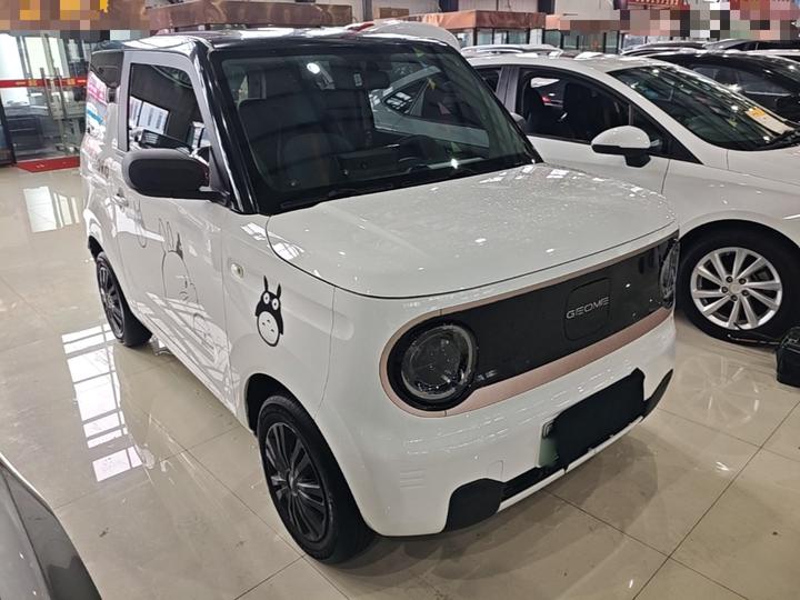 2023 Panda mini 200km Endurance Bear photo 3