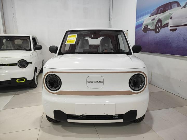 2024 Panda mini 200km Endurance Bear photo 2