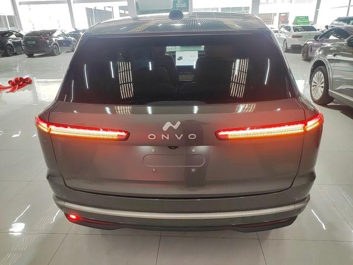 L90 2025 Max 6-Seater 60 photo 5
