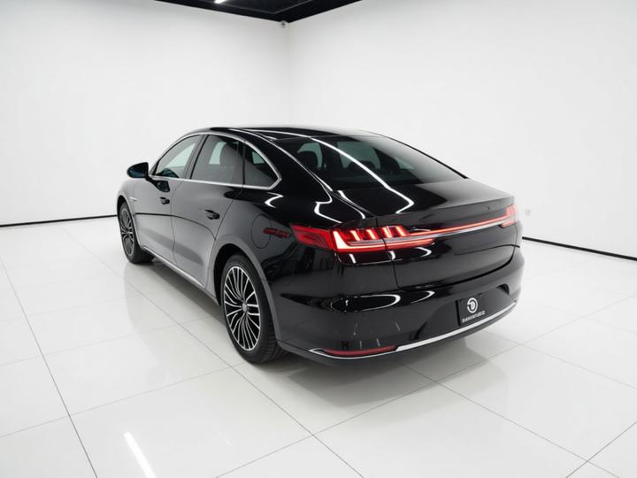 Han 2020 DM AWD Performance Premium photo 4