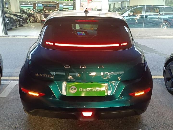 Good Cat 2021 400km Standard Range LFP photo 5