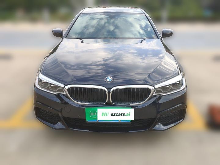 5 Series 2020 530Li Leading M Sport Package photo 2