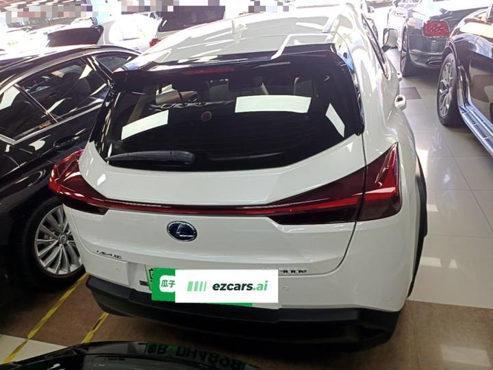 UX EV 2020 300e photo 3