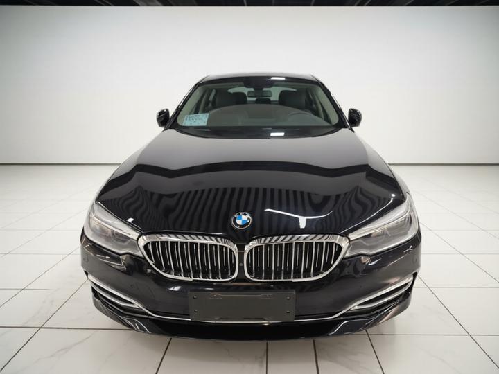 5 Series 2020 530Li Leading Luxury photo 2