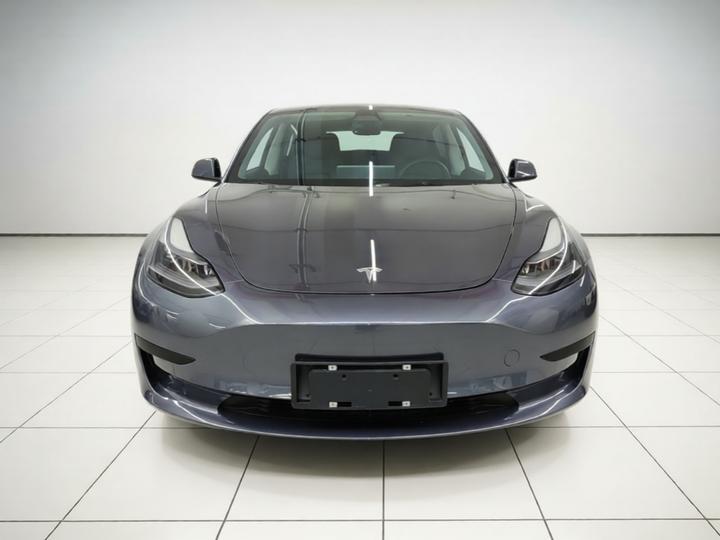 Model 3 2021 Facelift Standard Range RWD Upgraded 3D1 photo 2