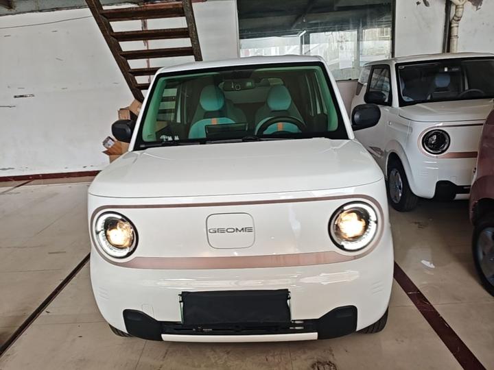 2023 Panda mini 200km Endurance Bear photo 2