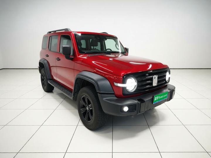 300 2021 Off-road 2.0T photo 3