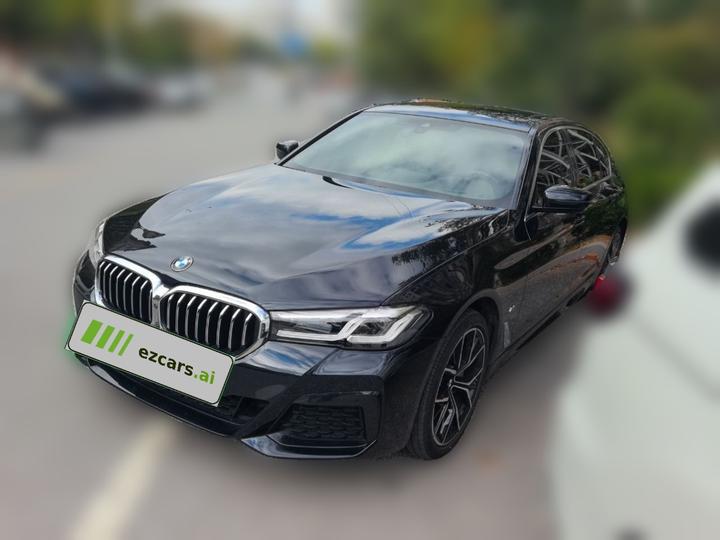 5 Series 2021 530Li Exclusive M Sport Package