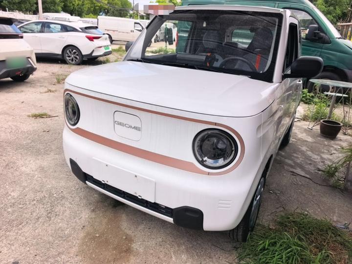2024 Panda mini 200km Endurance Bear